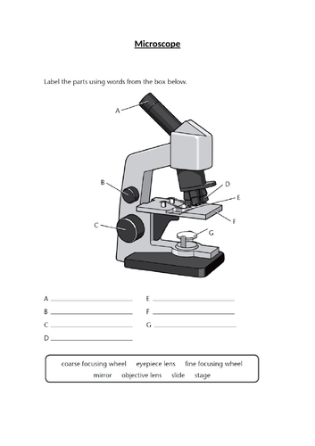 docx, 123.95 KB