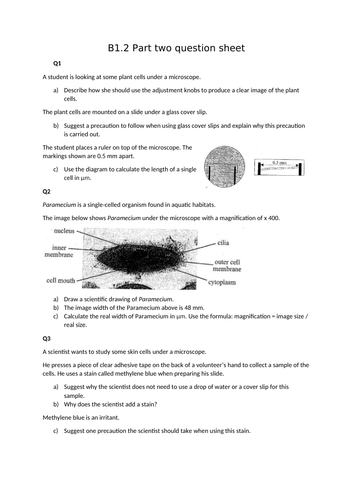 docx, 105.18 KB