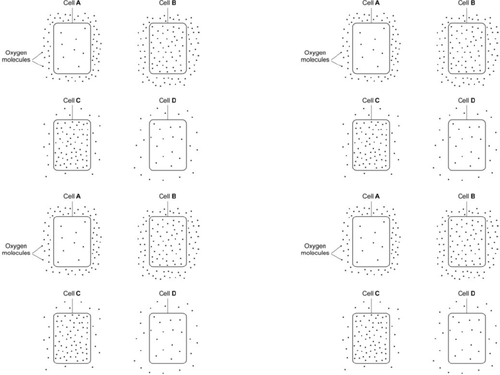 AQA GCSE Biology (9-1) B1.6 Diffusion FULL LESSON