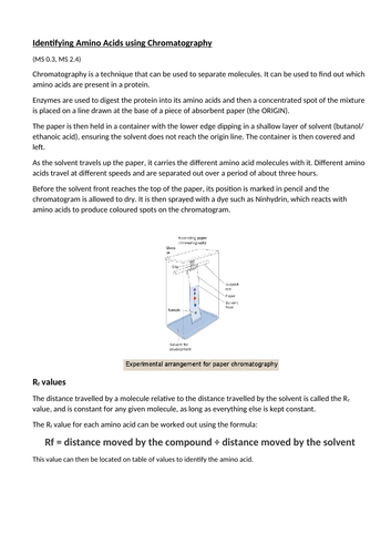 docx, 42.26 KB