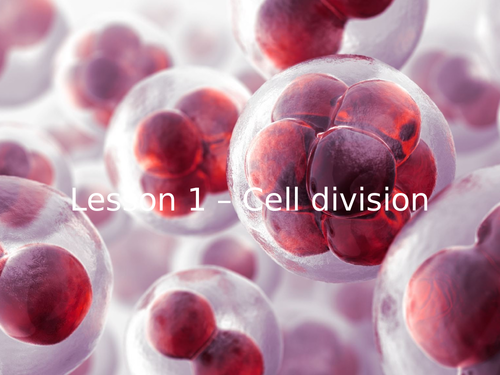 AQA GCSE Biology (9-1) B2.1 Cell division - FULL LESSON