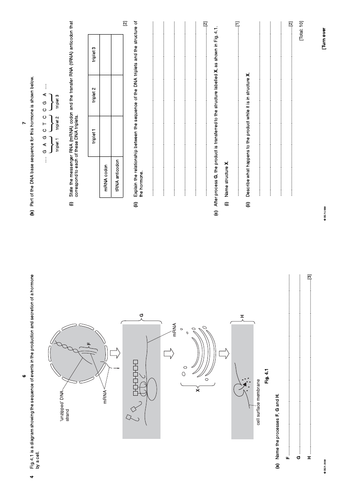 pdf, 61.23 KB