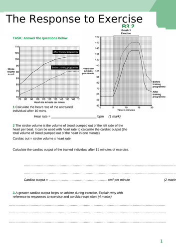 docx, 558.58 KB