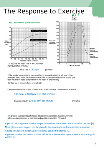 docx, 559.3 KB