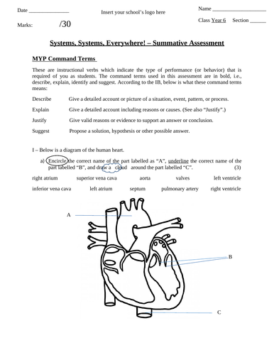 docx, 92.35 KB