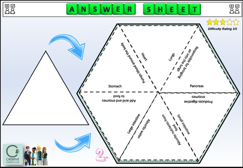 Organs Disease and Immune Response Digital Puzzles | Teaching Resources