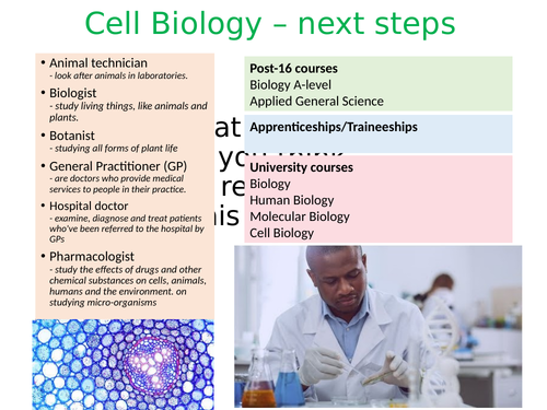 GCSE Biology Next Steps and Related Careers | Teaching Resources