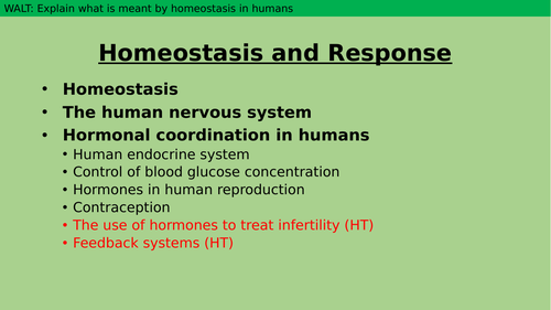 Homeostasis