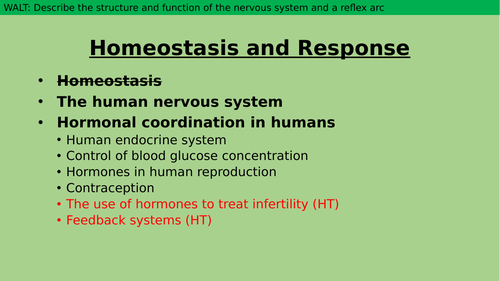 The nervous system