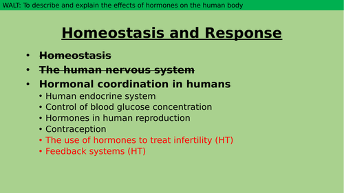 The endocrine system