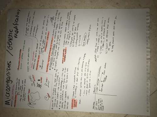 Microorganisms and genetic Modification IGCSE Edexcel Biology