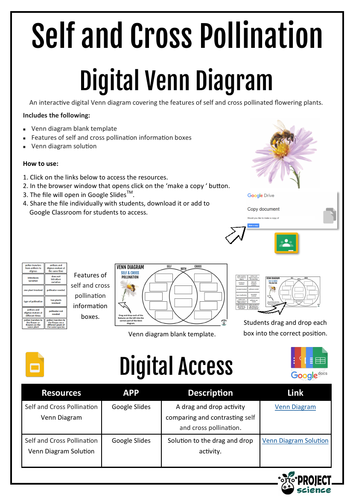 pdf, 916.01 KB