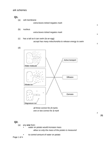 docx, 601.41 KB