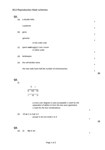 docx, 16.98 KB