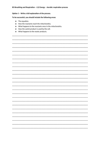 docx, 16.57 KB
