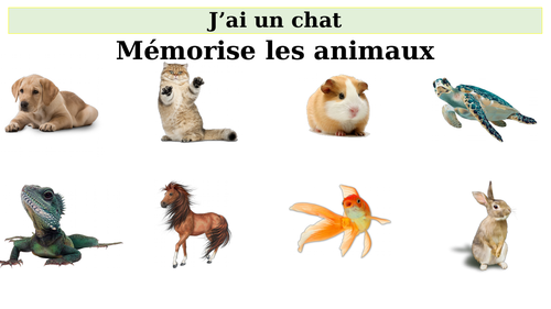 French KS3 mon animal préféré | Teaching Resources