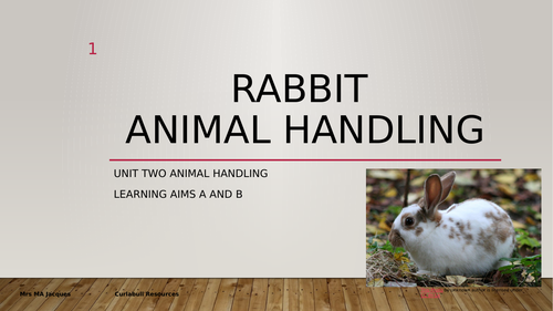 BTEC Animal Care Unit 2 A & B Animal Handling Level 2 | Teaching Resources