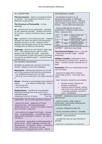 The Psychodynamic Approach