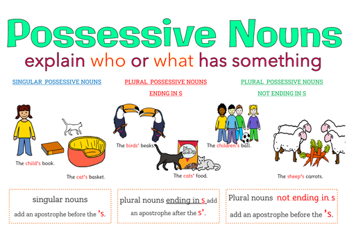 Possessive Nouns Teaching Resources