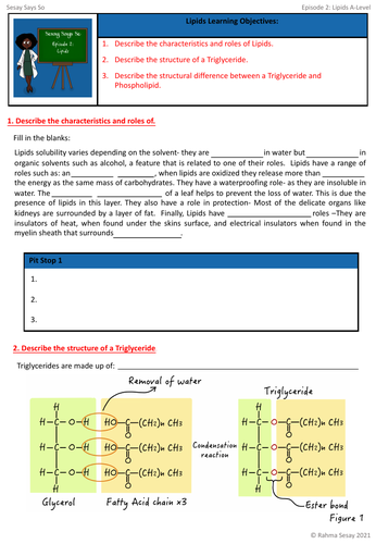 lipids assignment pdf