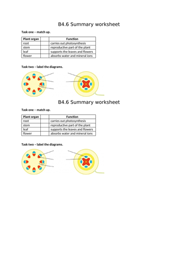 docx, 71.23 KB