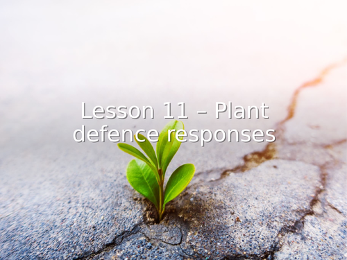 AQA GCSE Biology (9-1) B5.11 Plant disease responses - FULL LESSON