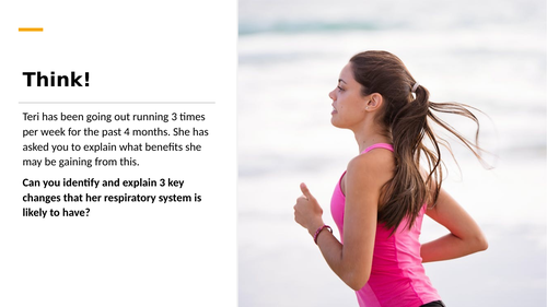 BTEC Sport L3 - Effect of long term exercise on the respiratory system ...