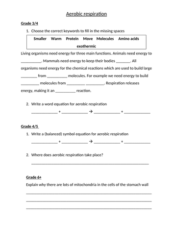 Bioenergetics graded worksheets | Teaching Resources