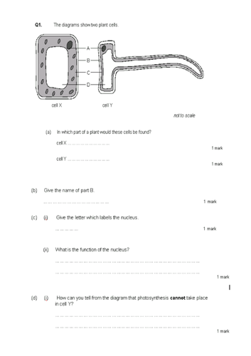 Year 7 Cells lessons (7A Exploring Science) | Teaching Resources