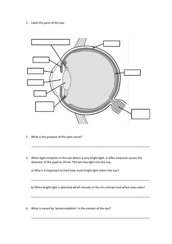 GCSE Biology: The Eye | Teaching Resources