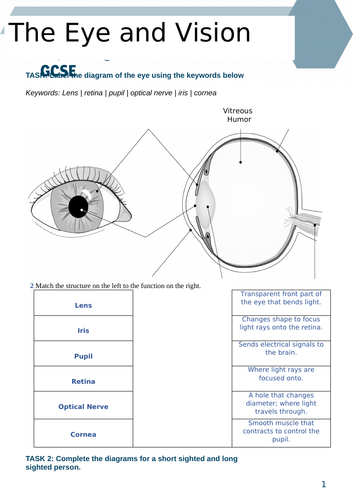 docx, 264.75 KB