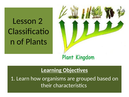 KS3 - Classification of Plants | Teaching Resources