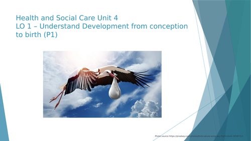 NCFE CACHE Technical Award in Health and Social Care Unit 3 LO1 Conception to birth