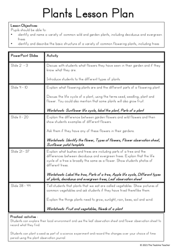 plants year 1 science powerpoint and worksheets teaching resources