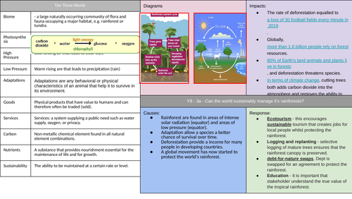 Rainforest Knowledge Organiser