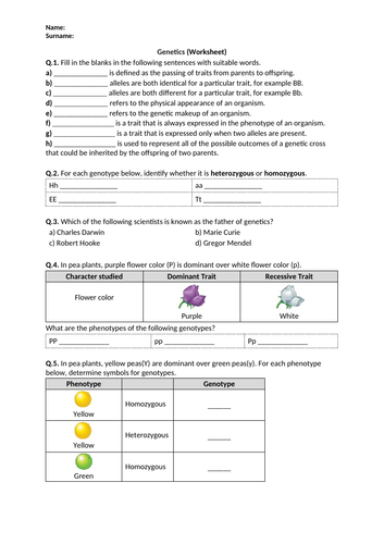 Genetics - Worksheet | Distance Learning