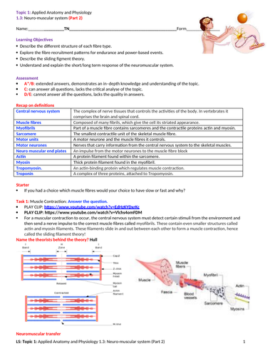 docx, 19.52 MB