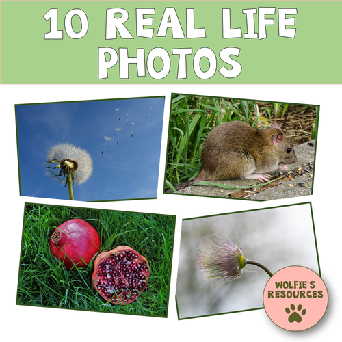 Seed Dispersal KS2 Teaching Resources