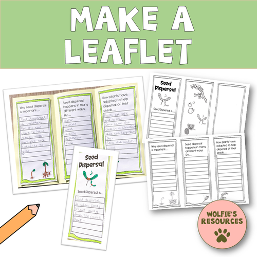 Seed Dispersal KS2 Teaching Resources