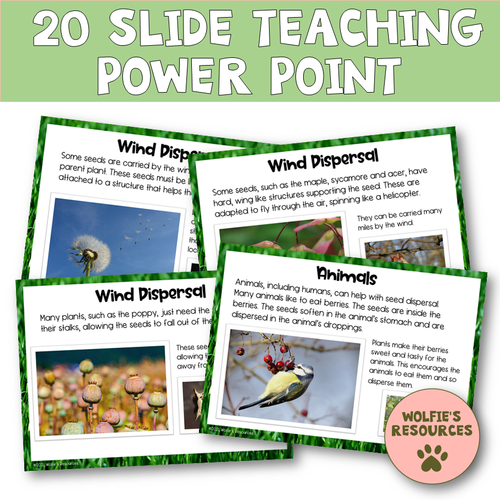 Seed Dispersal KS2 Teaching Resources