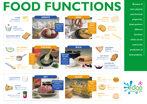 food-functions-poster-teaching-resources