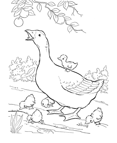 Farmer Duck Teaching resource Set | Teaching Resources