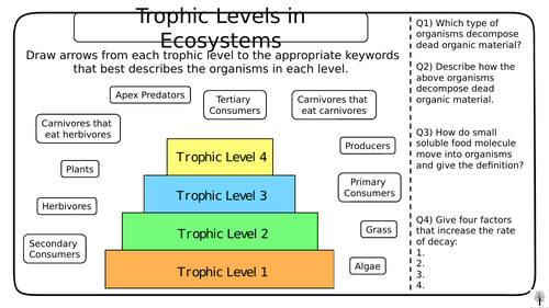 GCSE Biology - Trophic Levels and Pyramids of Biomass (Triple