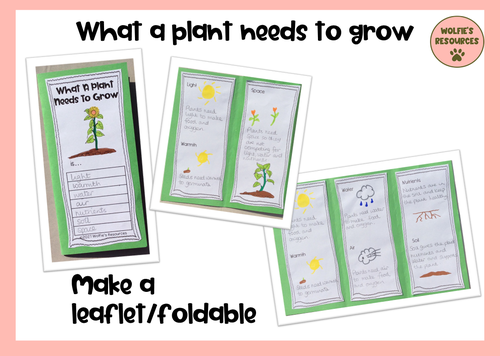 What A Plant Needs To Grow | Teaching Resources