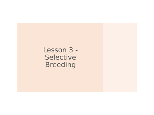 AQA GCSE Biology (9-1) B14.3 Selective breeding - FULL LESSON