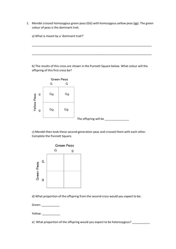 The Work of Mendel Slides and Worksheet (GCSE Biology AQA) | Teaching ...