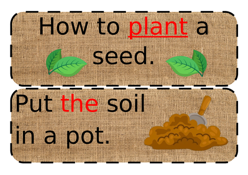 Simple planting instructions phase 2/3