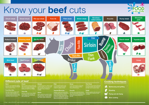 Know Your Beef Cuts Poster Teaching Resources 