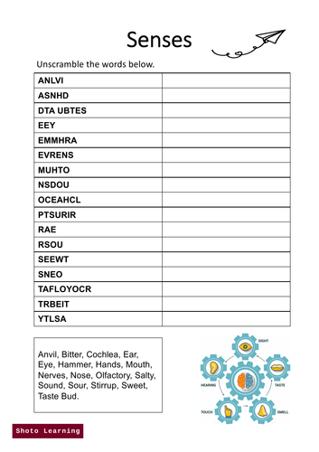 Senses Science Activity - Word Scramble Puzzle Unscramble Vocabulary