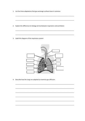 Gas Exchange Slides and Worksheet (A-Level Biology AQA) | Teaching ...